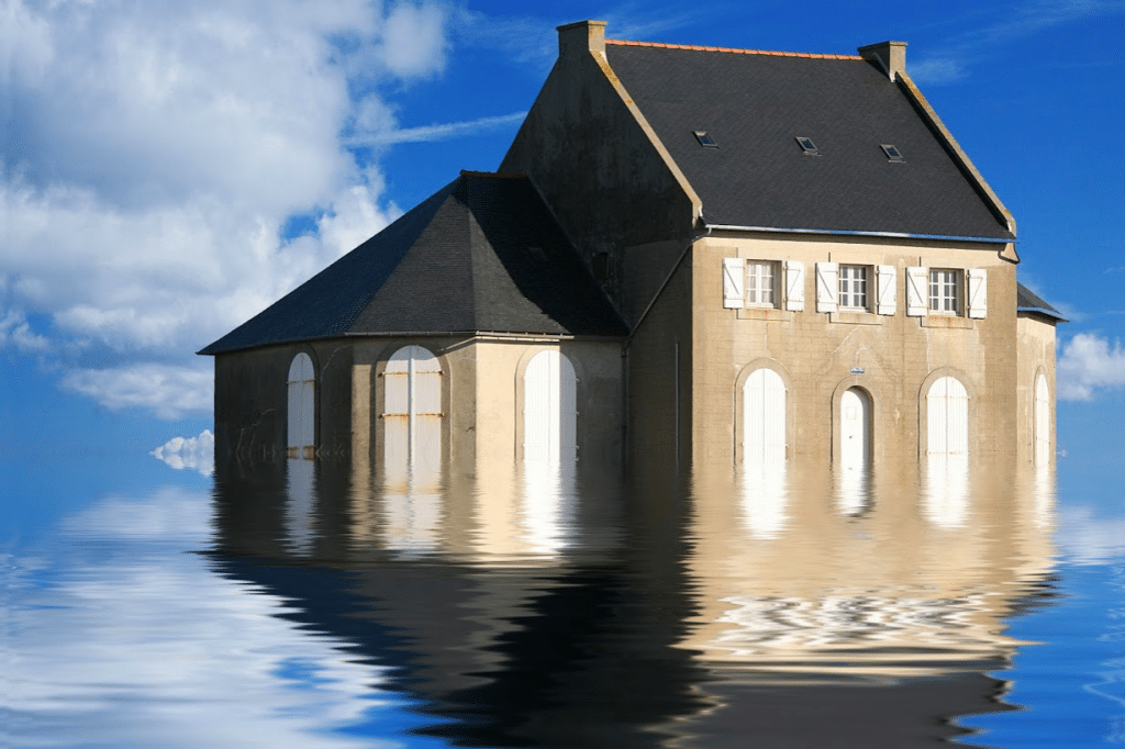 How to Choose the Right Backyard Sump Pump for Your Home